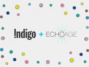 Indigo plus ECHOage surrounded by multicoloured dots